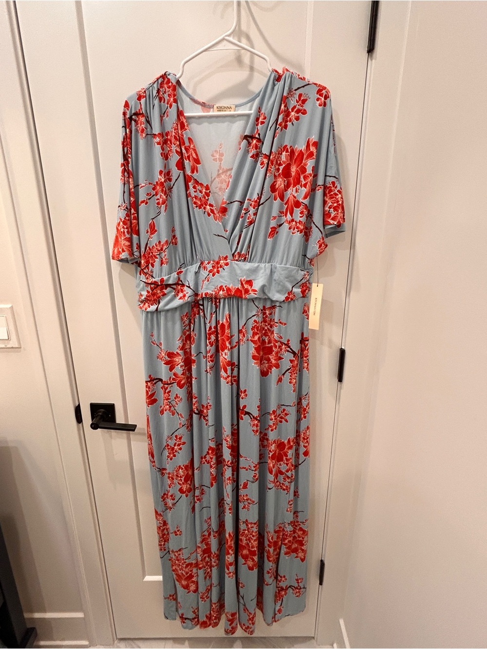 Kiyonna Light Blue Maxi Dress with Red Floral Print